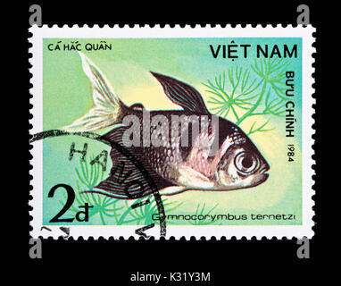 Postage stamp from Vietnam depicting a black tetra (Gymnocorymbus ternetzi) Stock Photo