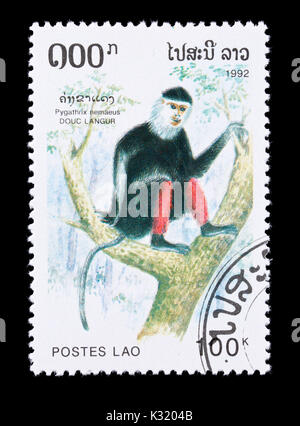 Postage stamp from Laos depicting a red-shanked douc (Pygathrix nemaeus) Stock Photo