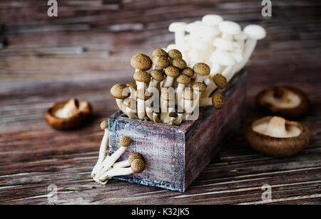 white Chinese mushrooms on a wooden background in rustic box, selective focus Stock Photo