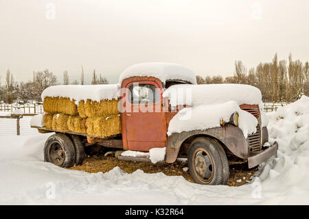 Old truck with a broken window loaded with bales of hay and covered in snow Stock Photo