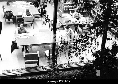 Through the glass windows leading outside to the trees and bushes on the courtyard of Milton S Eisenhower Library at Johns Hopkins University, students work at tables inside the library on M Level, some with heads bent over textbooks, others reading papers scattered about, and one student staring off into space with an umbrella leaning against his workspace, and tall stacks of books lining the right side of the room, Baltimore, Maryland, 1965. Stock Photo