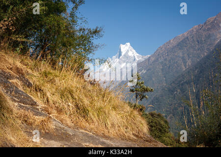 Panoramic view of the Machapuchare from Chomrong, on the Annapurna Base Camp Trek, Nepal Stock Photo