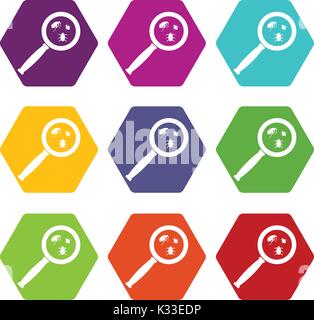 Magnifier and insects icon set color hexahedron Stock Vector