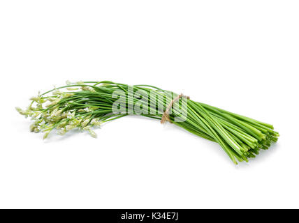 fresh chinese chives isolated on white Stock Photo