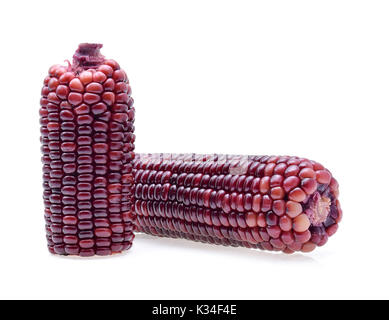 ripe purple corn isolate on white background Stock Photo