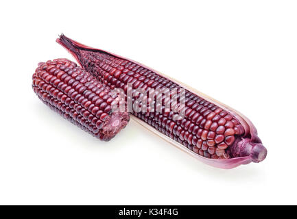 ripe purple corn isolate on white background Stock Photo