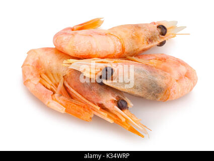 shrimps path isolated Stock Photo