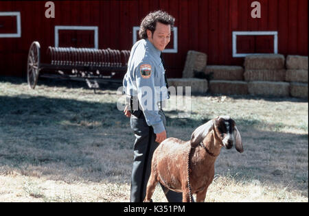 The animal rob schneider hi-res stock photography and images - Alamy