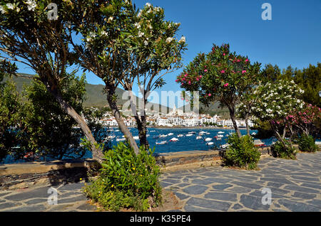 Landscape of Cadaqués with Nerium oleander in flower and port and town in the background. Cadaqués is a commune on the Costa Brava at northeastern Cat Stock Photo