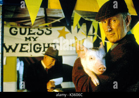 BABE, THE GALLANT PIG JAMES CROMWELL   A KENNEDY MILLER PRODUCTION BABE, THE GALLANT PIG  JAMES CROMWELL     Date: 1995 Stock Photo