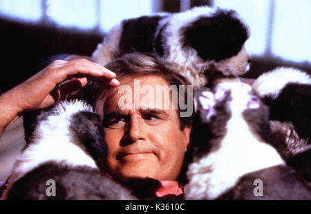 BEETHOVEN'S 2ND [US 1993]   CHARLES GRODIN     Date: 1993 Stock Photo