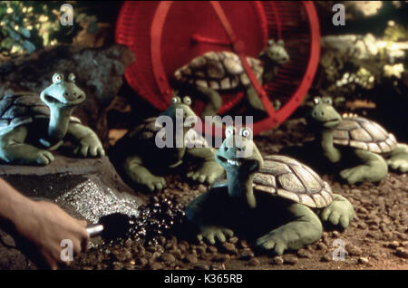 Creature Comforts Date 2003 Stock Photo 156873562 Alamy