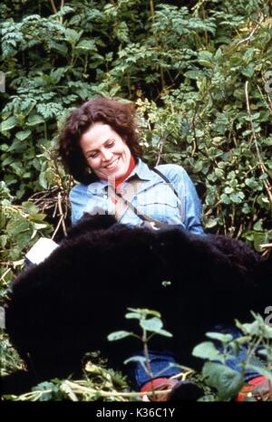 GORILLAS IN THE MIST UNIVERSAL PICTURES/WARNER BROS SIGOURNEY WEAVER as Dian Fossey     Date: 1988 Stock Photo