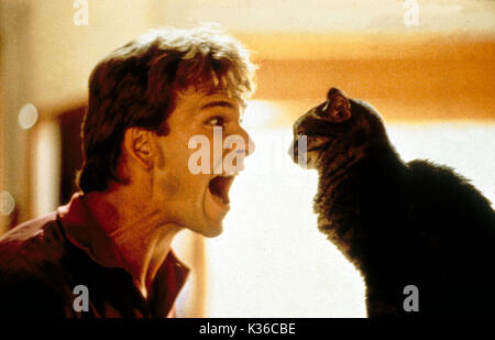 GHOST PARAMOUNT PICTURES PATRICK SWAYZE screaming; shouting; cat     Date: 1990 Stock Photo