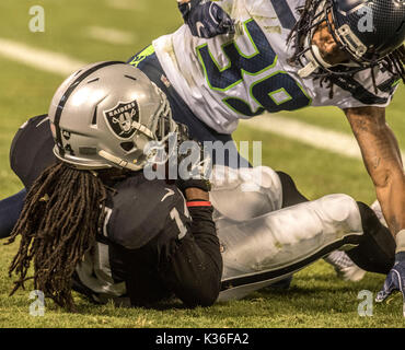 Oakland Raiders wide receiver Keon Hatcher (14) celebrates with