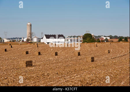 SQUARE HAY BALES ACROSS HARVESTED CORN FIELD AND FARM IN BACKGROUND, LITITZ PENNSYLVANIA Stock Photo