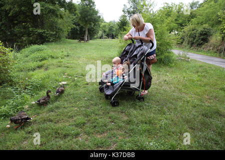 Mother with twins in pushchair Stock Photo