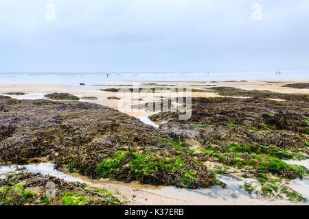 The beach at Westward Ho!, Devon, England, UK Stock Photo