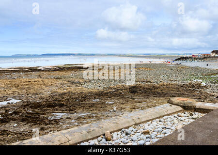 Victorian pipe on rocky beach at Westward Ho, Devon, England, UK Stock Photo