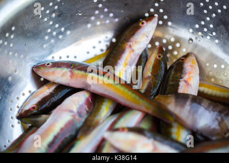 Preparing to cook the raw fresh Donzella fishes in Puglia, south of Italy Stock Photo