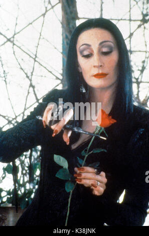THE ADDAMS FAMILY ANGELICA HOUSTON as Morticia Addams Date: 1991 Stock