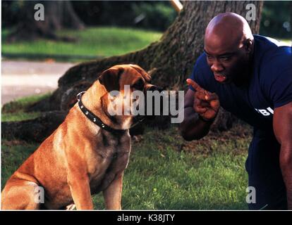 SEE SPOT RUN MICHAEL CLARKE DUNCAN     Date: 2001 Stock Photo