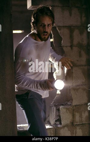 THE AMITYVILLE HORROR RYAN REYNOLDS     Date: 2005 Stock Photo