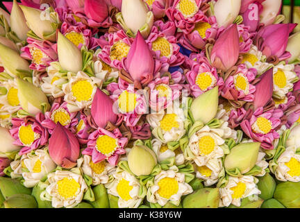 Close-up of a beautiful flower arrangement made of pink and white banana flower blossoms and seed heads for sale in Siem Reap, Cambodia. Stock Photo