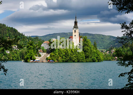 Bled Island in Spring with stairs to Catholic pilgrimage church of the Assumption of Mary with Pletna boats in turquoise Lake Bled Slovenia Stock Photo