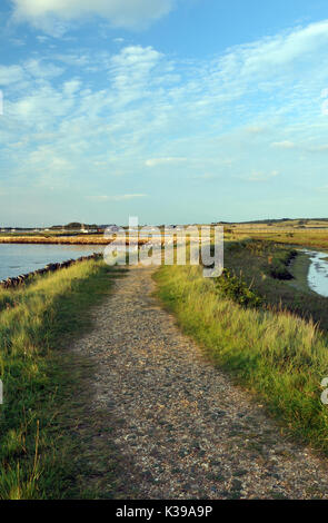 the walkways and old boathouse at newtown creek national trust, isle of wight showing fields and tidal estuary for birdwatching, hamstead creek Stock Photo