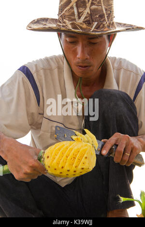 Man expertly slices a pineapple for eating at the Can Tho floating market in South Vietnam on Oct 17, 2011 Stock Photo