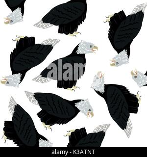 Bird eagle on white background Stock Vector