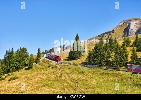 Excursion red train in mountains Stock Photo