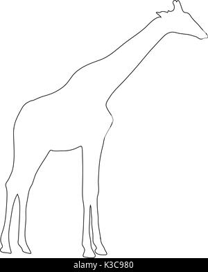 Outline of an african Giraffe Stock Vector Art & Illustration, Vector ...
