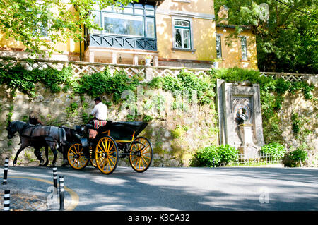 Horse Cart - Sintra - Portugal Stock Photo