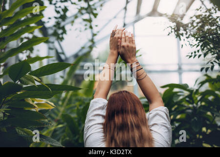 Rear view of female model standing inside greenhouse. Woman in garden center with arms raised. Stock Photo