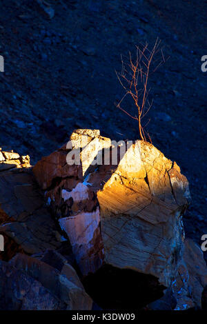 Africa, southern Africa, South-West Africa, Namibia, Erongo region, Damaraland, Ugab-secondary valley, Stock Photo