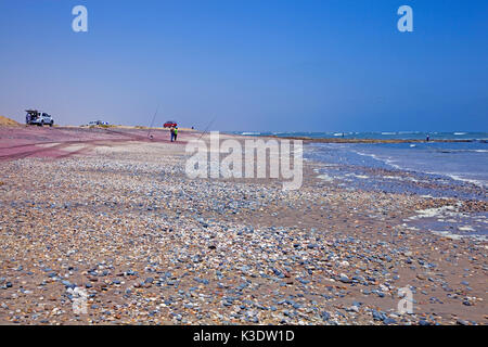 Africa, southern Africa, Namibia, the Atlantic, beach, Swakopmund, the north Dorob national park, Stock Photo