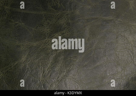 original Italian green leather background for fashion designers. Stock Photo