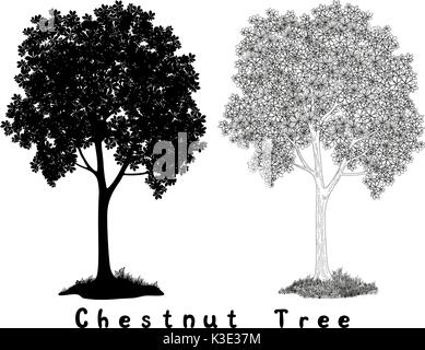 Chestnut tree Silhouette Contours and Inscriptions Stock Vector