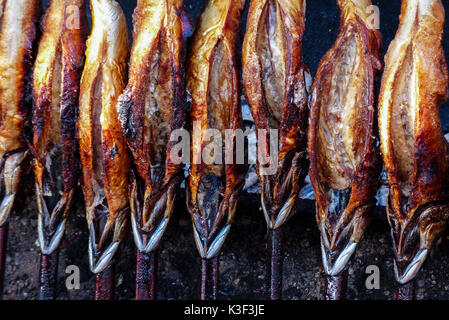 Oktoberfest in Munich, 'Steckerlfische' (fish grilled on a stick) at the Fischer-Vroni on the Wiesn Stock Photo