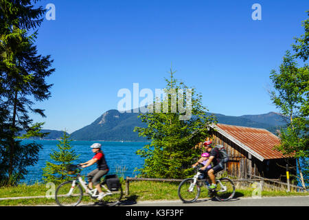 Cyclist, View at Lake Walchen (Walchensee), Tölz country, Isarwinkel (region), Bavaria, Upper Bavaria, Germany Stock Photo