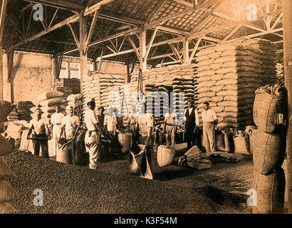Brazil Italian Immigration Early 1900 - warehouse of Coffe Stock Photo