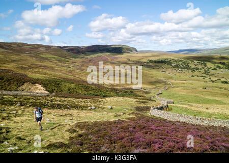 Teesdale, County Durham, UK.  Saturday 2nd September 2017. UK Weather. Hikers enjoying a warm sunny day with far reaching views over the North Pennine moors of Upper Teesdale in Northern England.  Credit: David Forster/Alamy Live News. Stock Photo
