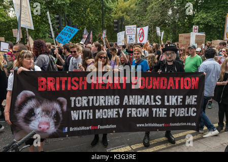 London , UK. 2nd September 2017.  People hold a banner against the British Heart Foundtion carrying out animal testing on the march by several thousand vegans from Hyde Park through London demanding an end to all animal oppression in the 2017 Official Animal Rights March, supported by The Save Movement and HeartCure Collective. Many carried posters or placards calling for an end to regarding animals as food or sources of wool and fur, and there were some dressed as animals. Peter Marshall/Alamy Live News Stock Photo