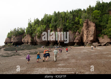People on the beach at Hopewell Rocks in New Brunswick, Canada. Also known as the Flowerpot Rocks, the rocks are washed by the tidal waters of the Bay Stock Photo
