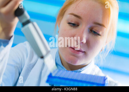 using a multi channel pipette for pcr  processing in microbiological laboratory Stock Photo