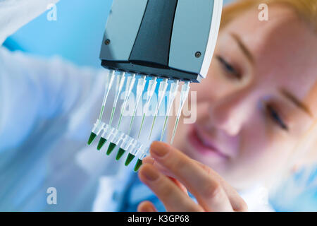 using a multi channel pipette for pcr  processing in microbiological laboratory Stock Photo