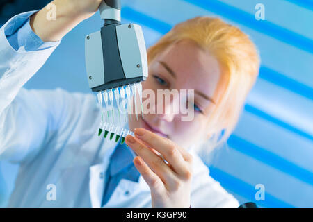 using a multi channel pipette for pcr  processing in microbiological laboratory Stock Photo