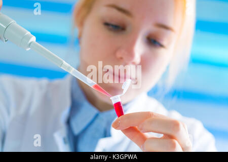 Laboratory assistant in the medical laboratory control a microbiological analysis of the blood. Using a pipette and a test tube in the laboratory Stock Photo